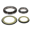 Steering Head Bearing & Seal Kit 22-1079