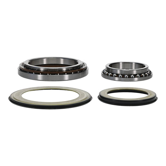 Steering Head Bearing & Seal Kit 22-1079