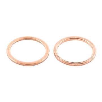 Exhaust Gasket Kit 823048