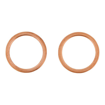Exhaust Gasket Kit 823199