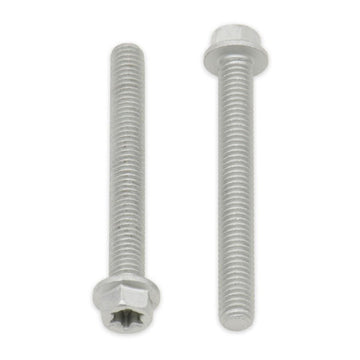 Bolt Euro Torx 6x20mm Flange Bolt (Packet of 10) Refill
