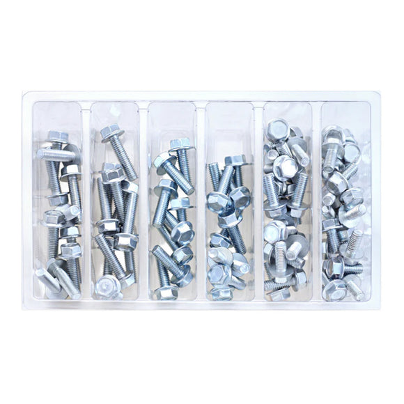Bolt SVC M6 10mm Hex Flanged Bolt Service Kit