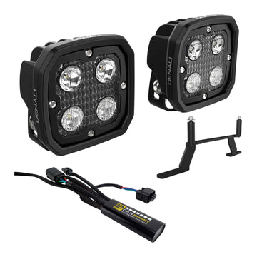 Denali D4 CANsmart Kit BMW R1250GS Adventure