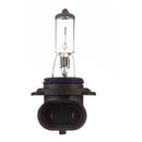 Globe 12V 55W H/L HB4 Plastic Base Halogen (ea)