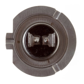 Globe 12V 55w H/L H7 Halogen (ea)