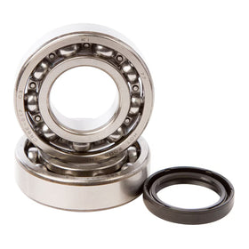Main Bearing and Seal Kit K043