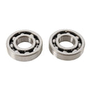 Main Bearing and Seal Kit