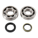 Main Bearing And Seal Kit