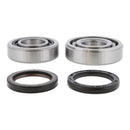 Main Bearing and Seal Kit