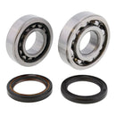 Main Bearing and Seal Kit