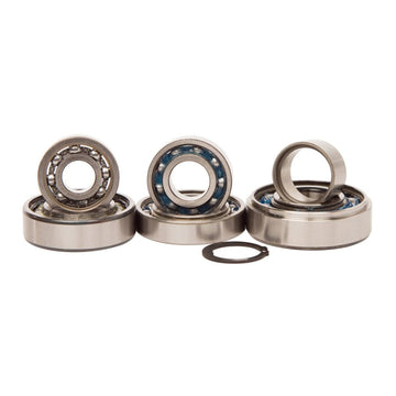 Cylinder Works Transmission Bearing Kit