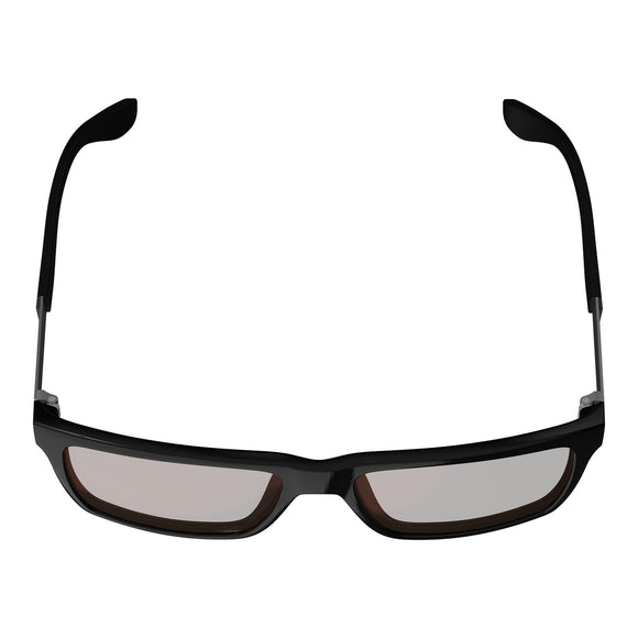 Leatt TheViz Sunglasses Sierra - Black/Silver Polarized Brown / Silver 20 VLT