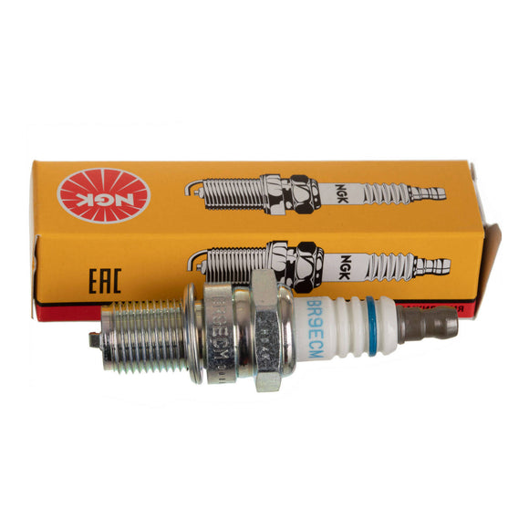 NGK Spark Plug - BR9ECM (3252)