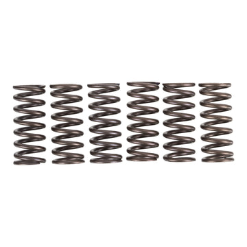 Premier Clutch Springs - Heavy Duty