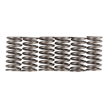Premier Clutch Springs - Heavy Duty