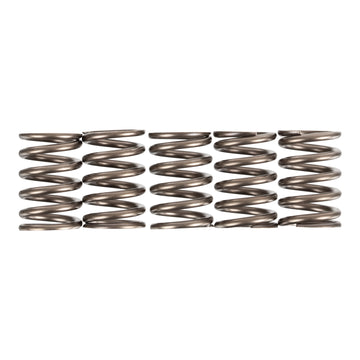 Premier Clutch Springs - Heavy Duty