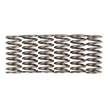 Premier Clutch Springs - Heavy Duty