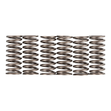 Premier Clutch Springs - Heavy Duty