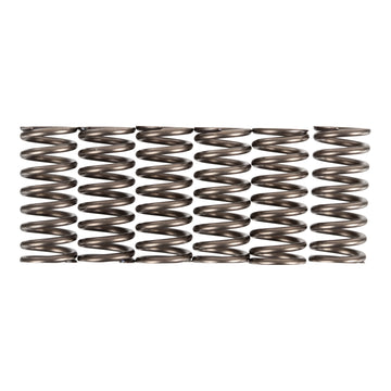 Premier Clutch Springs - Heavy Duty
