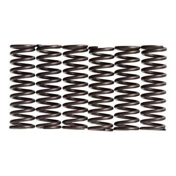 Premier Clutch Springs - Heavy Duty