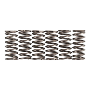 Premier Clutch Springs - Heavy Duty