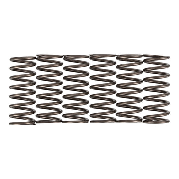 Premier Clutch Springs - Heavy Duty