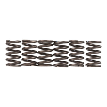 Premier Clutch Springs - Heavy Duty