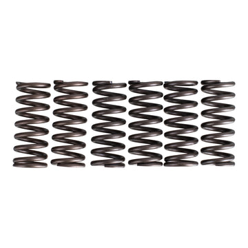Premier Clutch Springs - Heavy Duty