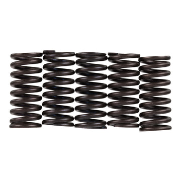 Premier Clutch Springs - Heavy Duty