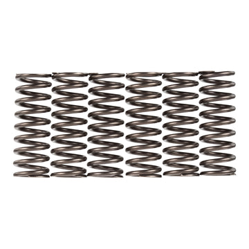 Premier Clutch Springs - Heavy Duty