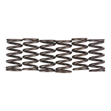 Premier Clutch Springs - Heavy Duty