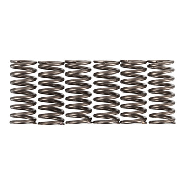 Premier Clutch Springs - Heavy Duty