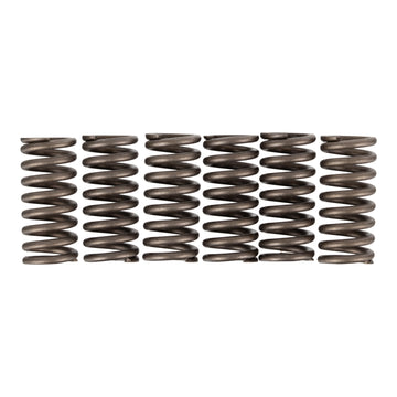 Premier Clutch Springs - Heavy Duty