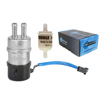 Quantum Frame-Mounted Electric Fuel Pump with Filter