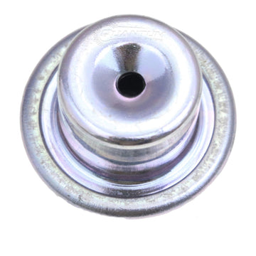 Quantum Fuel Pressure Regulator