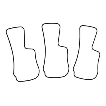 Quantum Fuel Pump Tank Seal Gasket
