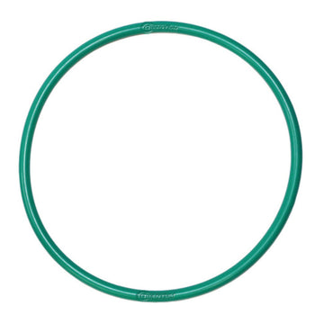 Quantum Fuel Pump Seal Gasket