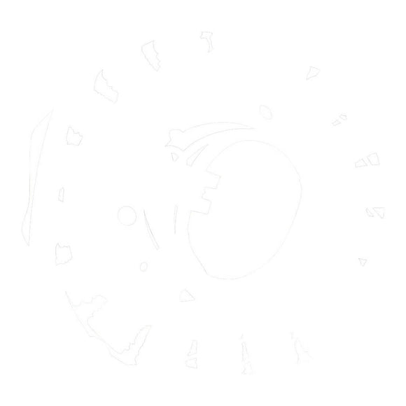 STATOR YAM XVS650 V-STAR CUSTOM 2004-2016 (RMS010-103240)