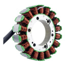 RM Stator Generator Stator Aprilia Models (RMS010-106004)