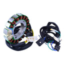 STATOR KAW KLR650 TENGAI 1987-2007 (RM01521)