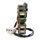 STATOR + KOKUSAN FLYWHEEL + PULLER KIT (RMS900-103880)