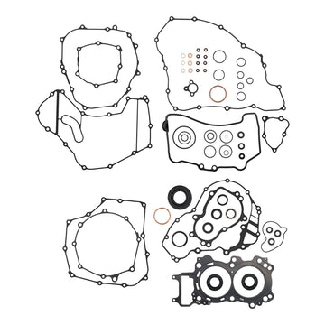 Complete Gasket Set with Oil Seals 8110032