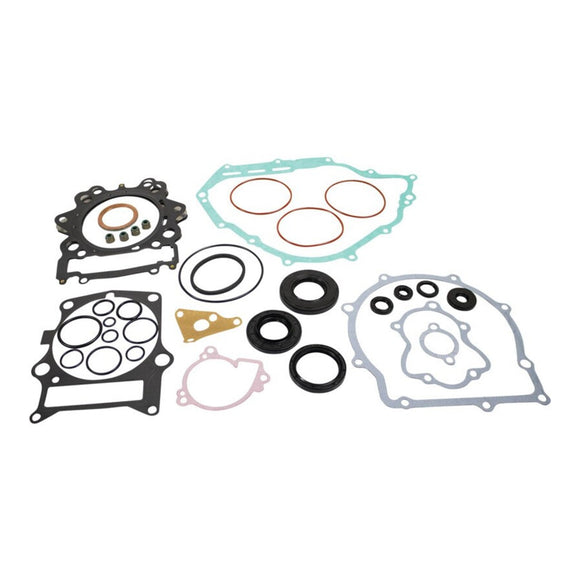 Complete Gasket Set with Oil Seals 8110048