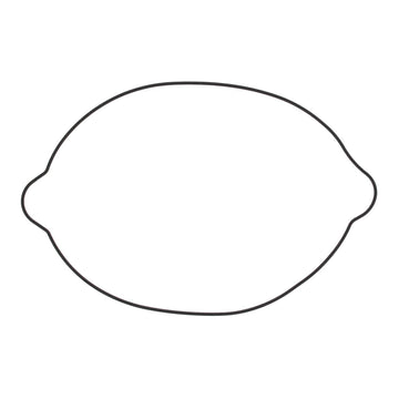 Outer Clutch Gasket Kit 817826