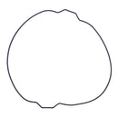 Outer Clutch Gasket Kit 819054