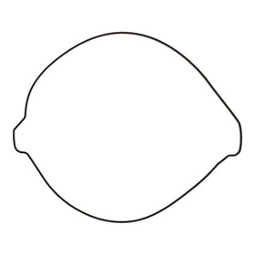 Outer Clutch Gasket Kit 819267