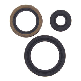 Oil Seal Kit 822143