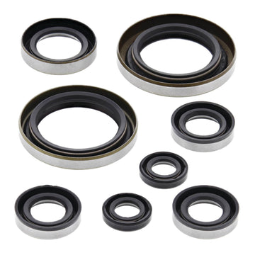 Oil Seal Kit 822274