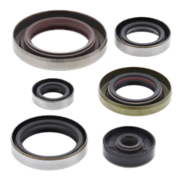 Oil Seal Kit 822348