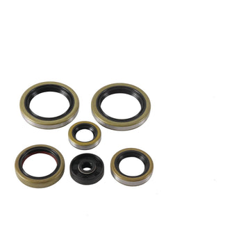 Oil Seal Kit 822370